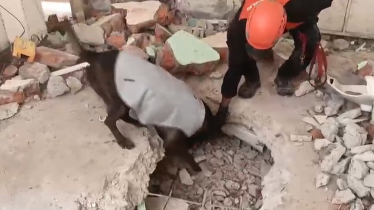 Cerita Tim Kemanusiaan INASAR 1 dari Balik Reruntuhan Gempa Myanmar