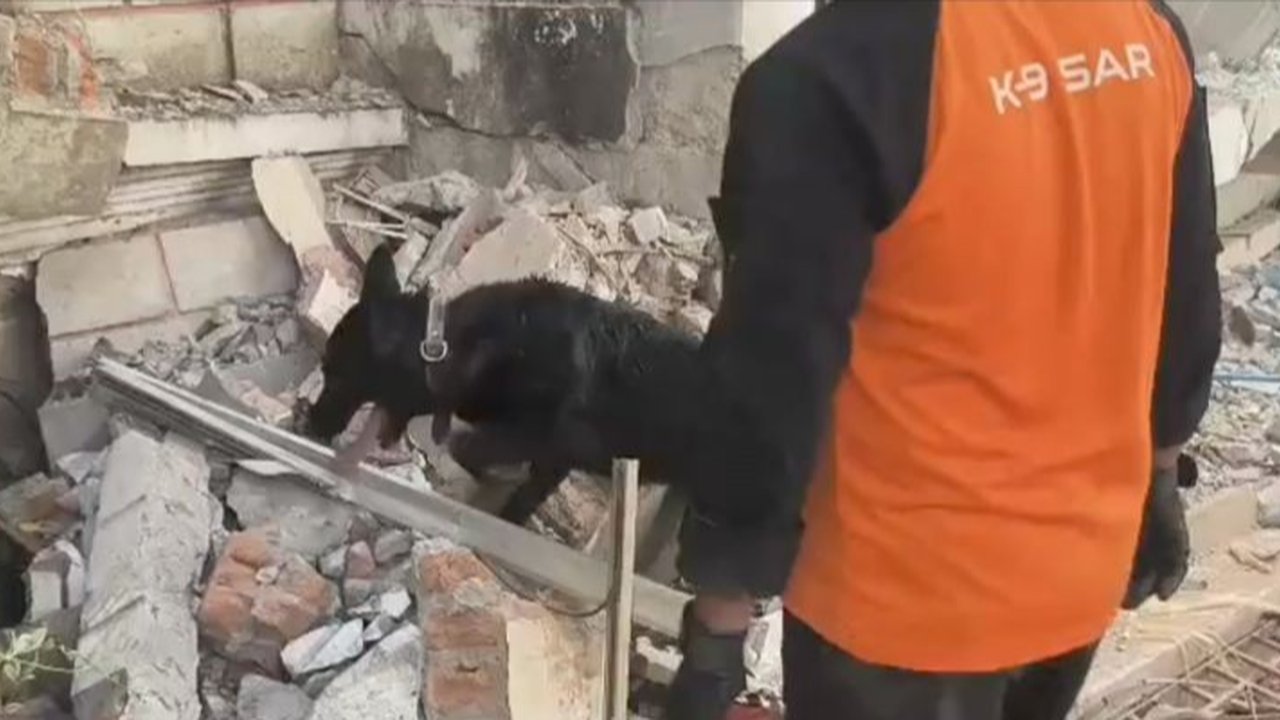 VIDEO: Momen Heroik Anjing Pelacak Polisi Indonesia Berjibaku Temukan Korban Gempa Myanmar