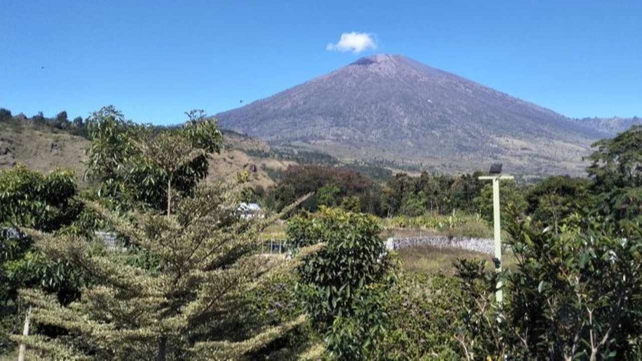 Balai Taman Nasional Gunung Rinjani mengingatkan para pendaki untuk mematuhi SOP pendakian guna keselamatan dan kelestarian alam, jalur pendakian Sembalun, Senaru, dan Torean telah penuh hingga 10 April 2025.
