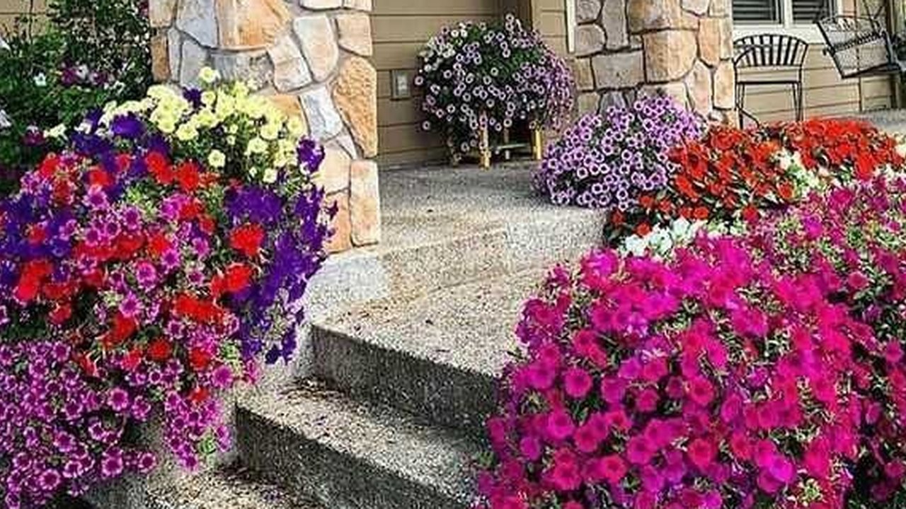 Ilustrasi Taman Depan Rumah Minimalis yang Cantik (©Pinterest)