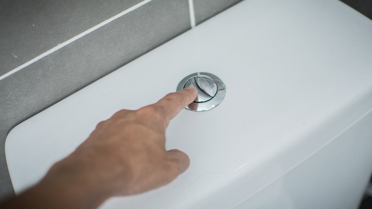 Ternyata Ini Fungsi Dua Tombol pada Toilet Flush yang Jarang Diketahui Banyak Orang