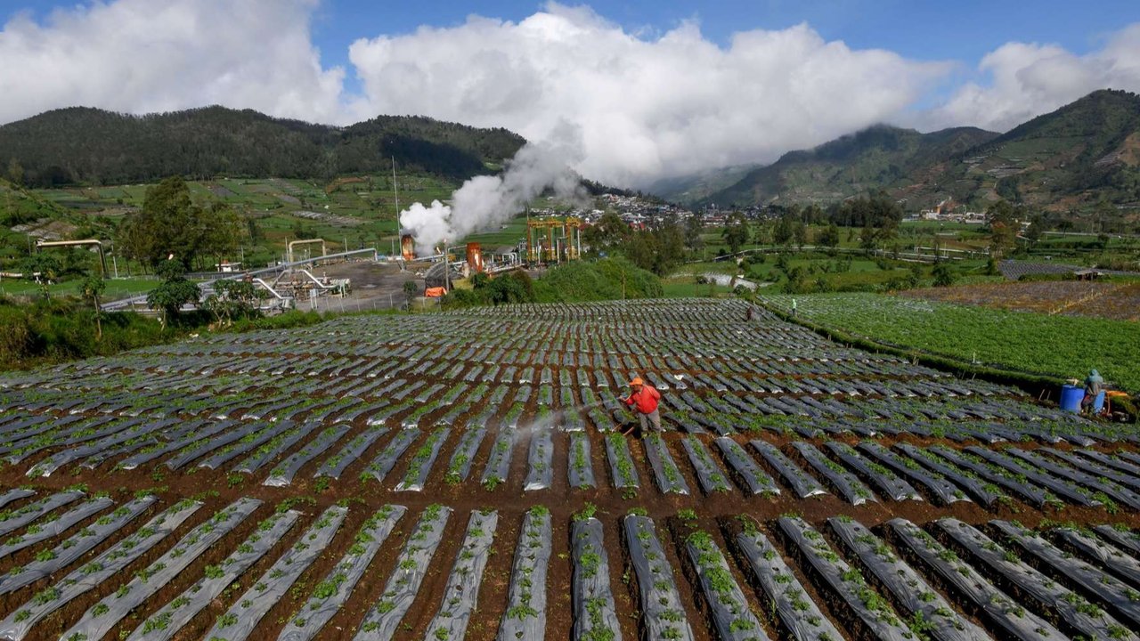 Petani memberikan pupuk pada tanaman kentang di sekitar areal instalasi sumur geothermal atau panas bumi untuk Pembangkit Tenaga Listrik Panas Bumi (PLTP) PT Geo Dipa Energi di kawasan dataran tinggi Dieng, Banjarnegara, Jawa Tengah, Minggu (6/4/2025).