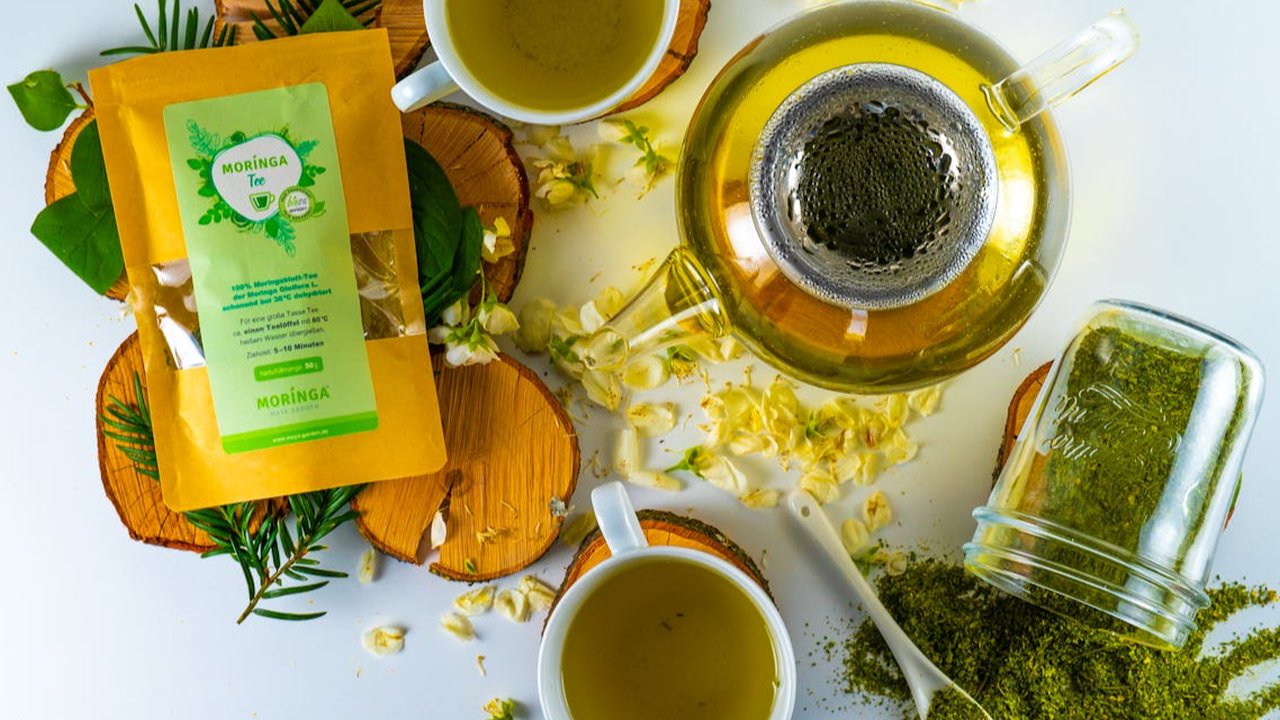 Ilustrasi Daun Kelor