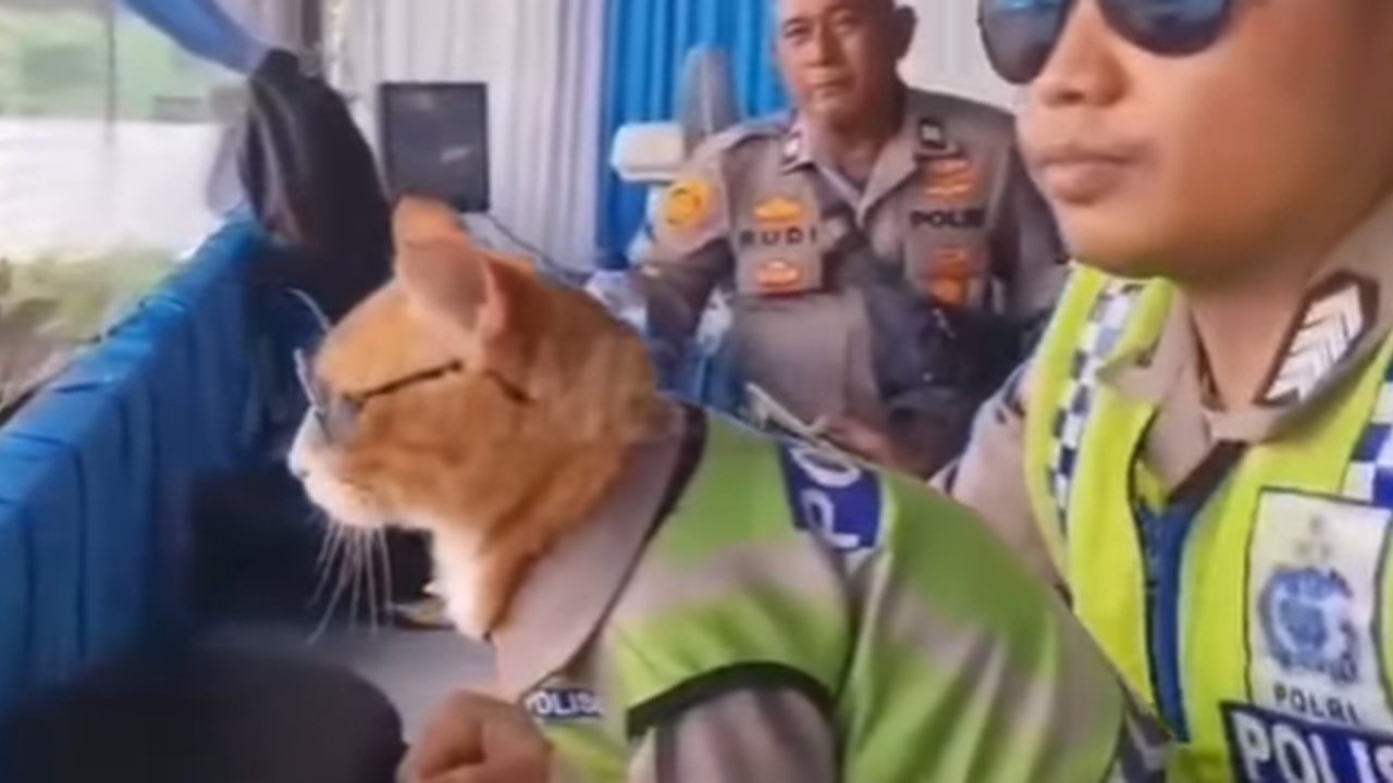 Patroli Polisi Ditemani 'Poyici Oyen' Bikin Gemas Pemudik Pakai Seragam dan Berkacamata