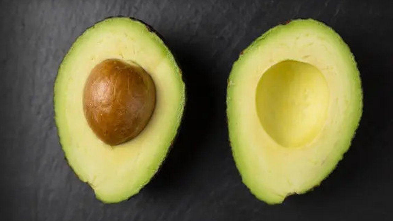 Ilustrasi daun alpukat (copyright Freepik)