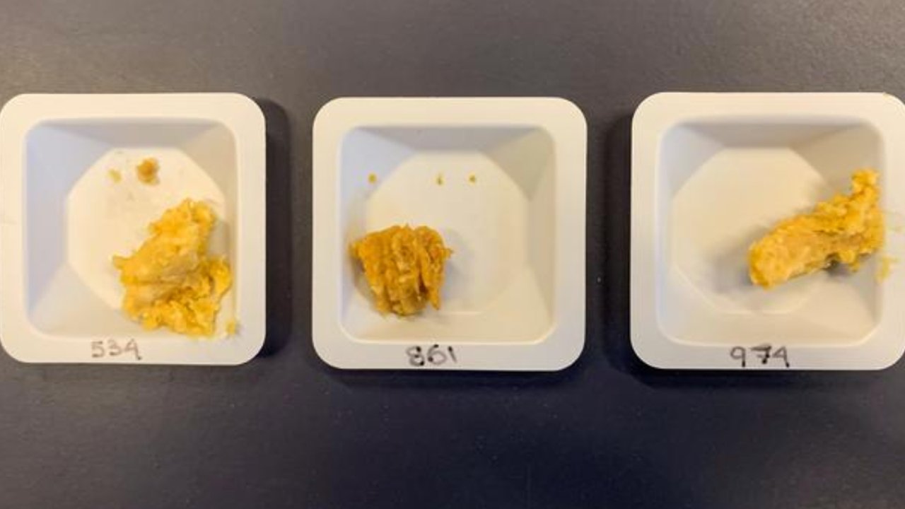 Astronot Eksperimen Bikin Miso di Luar Angkasa, Bagaimana Rasanya?