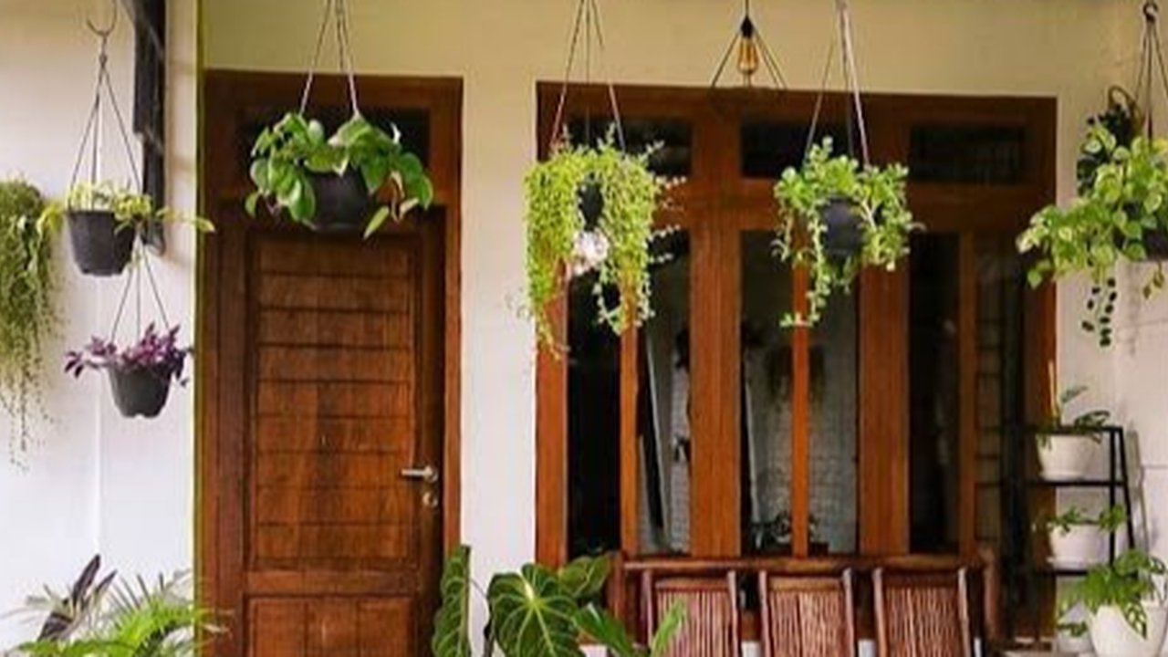 Ilustrasi Taman Depan Rumah Minimalis dengan Tanaman Gantung (©Pinterest)
