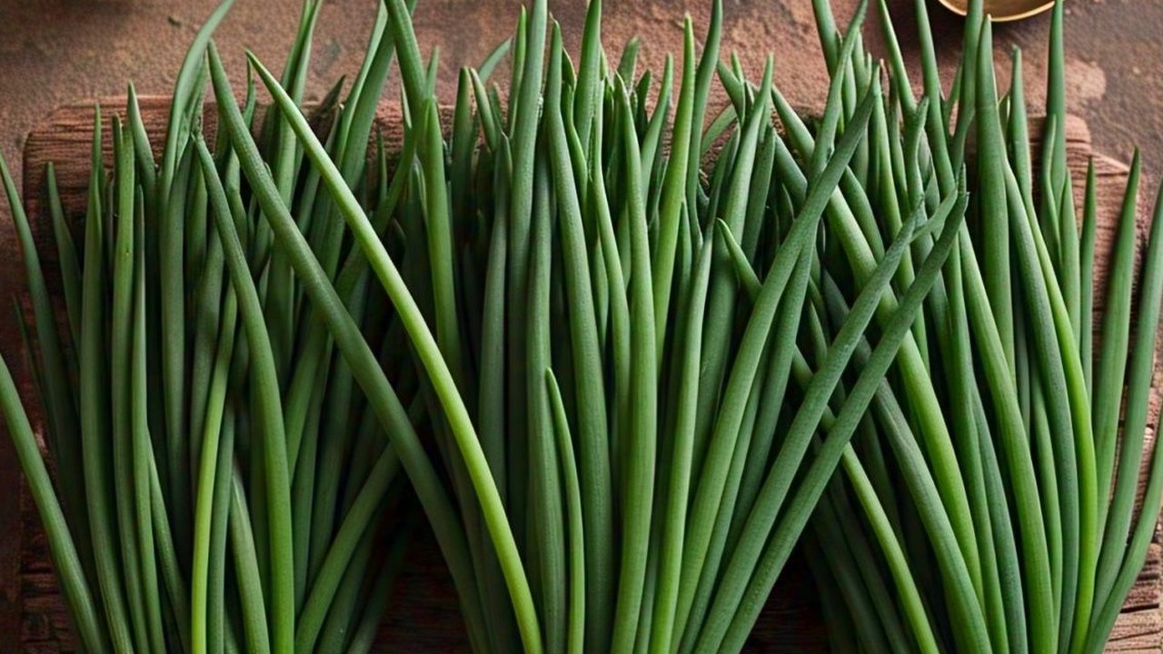 Daun Kucai / Sumber: Pixabay