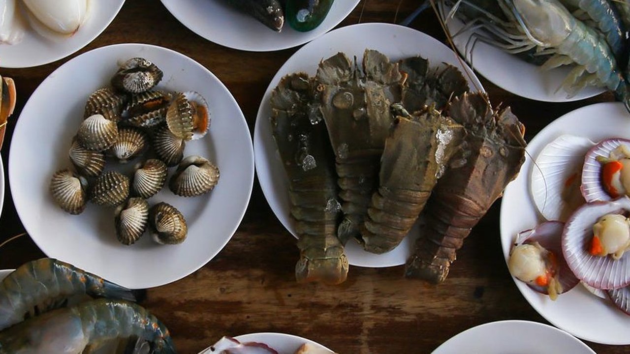 Ilustrasi seafood.