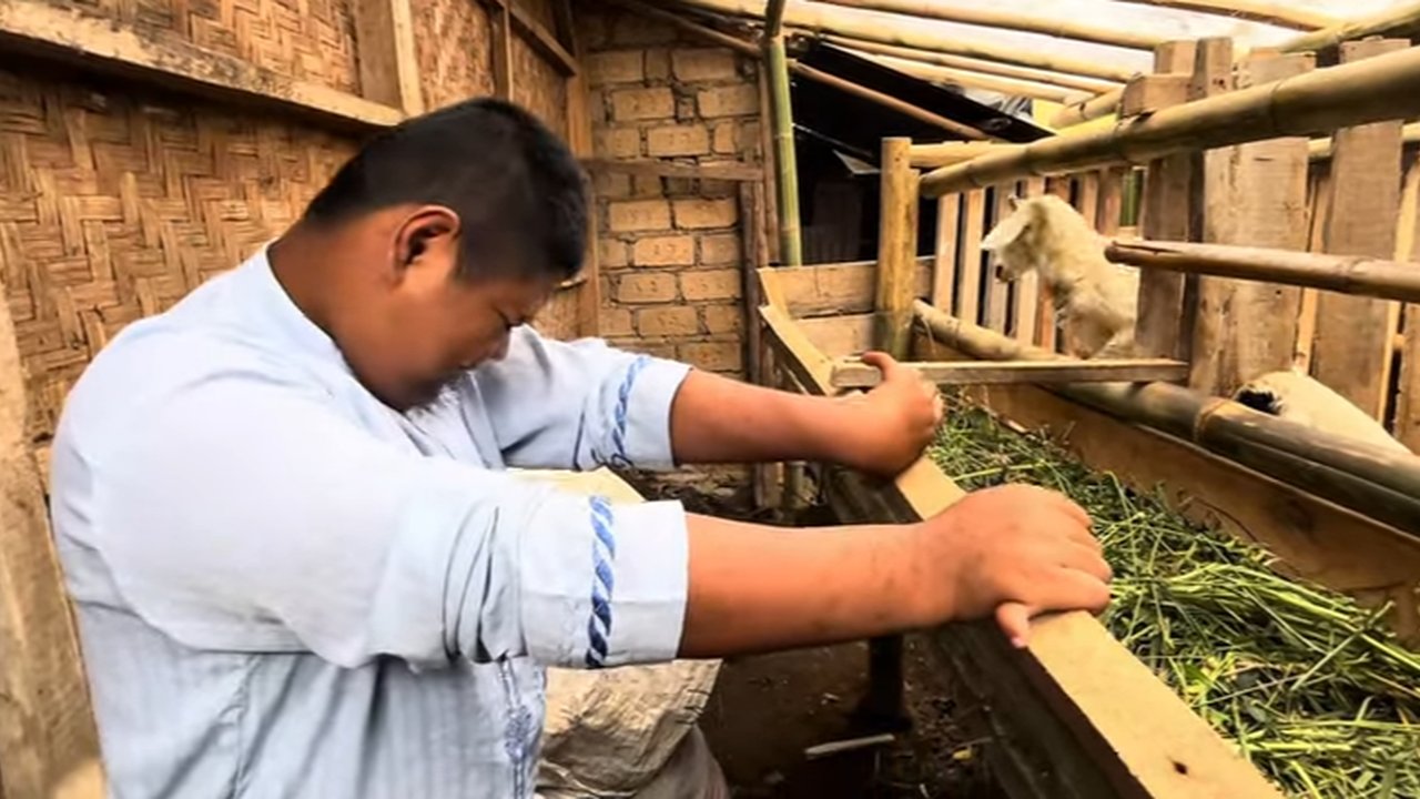 Bocah SMP Dapat Hadiah Domba dari Dedi Mulyadi
