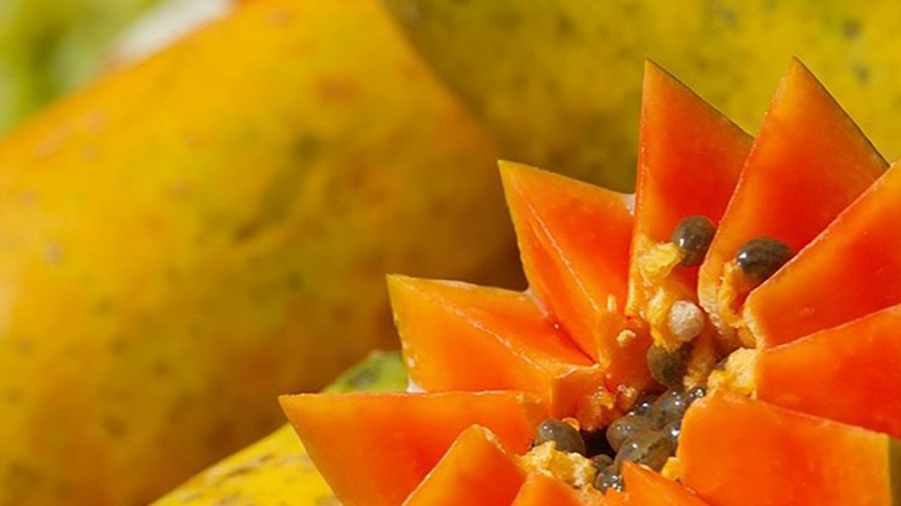 Ilustrasi Buah Pepaya (©Pixabay)