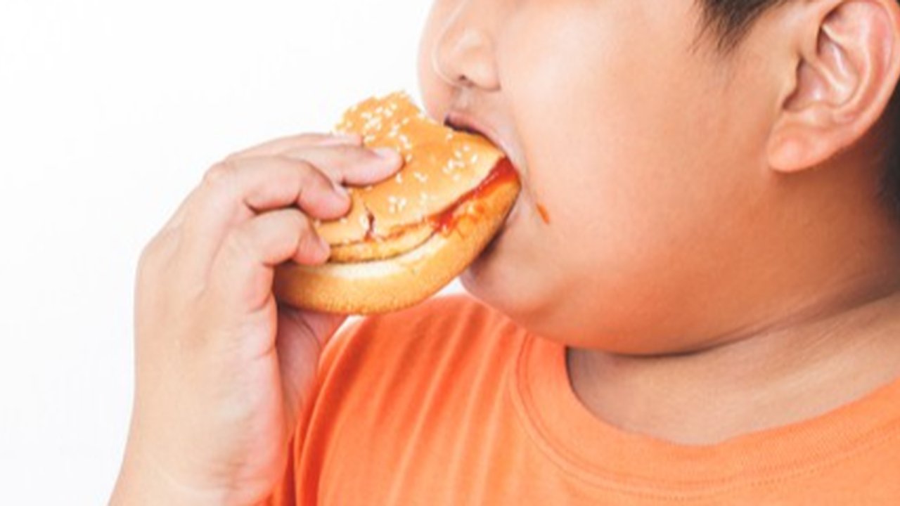 Penyebab Obesitas pada Anak