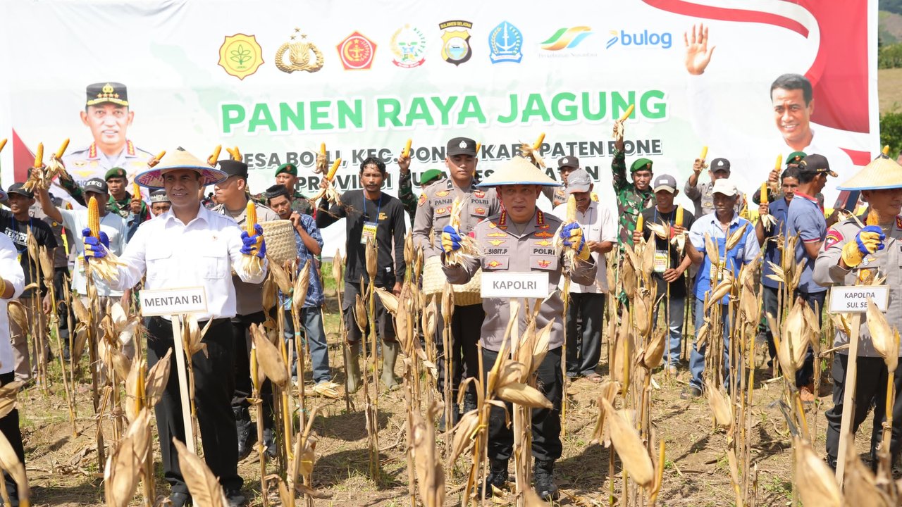 Menteri Pertanian (Mentan) Amran Sulaiman bersama Kapolri Jenderal Listyo Sigit Prabowo menghadiri panen raya jagung di Desa Bolli