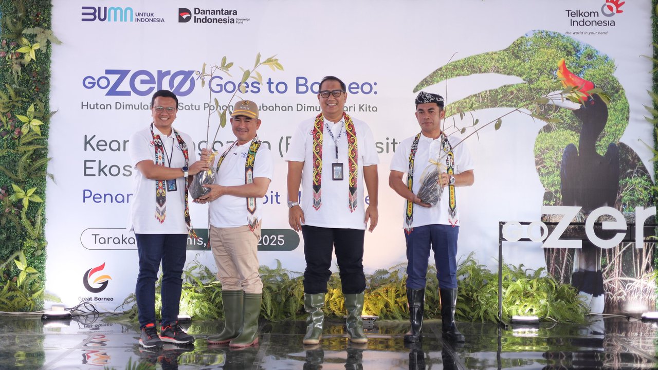 Penanaman magrove di Tarakan