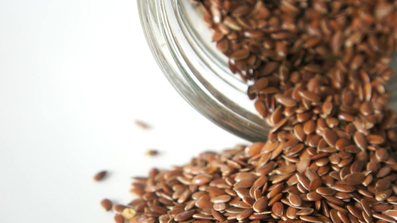 ilustrasi flax seed