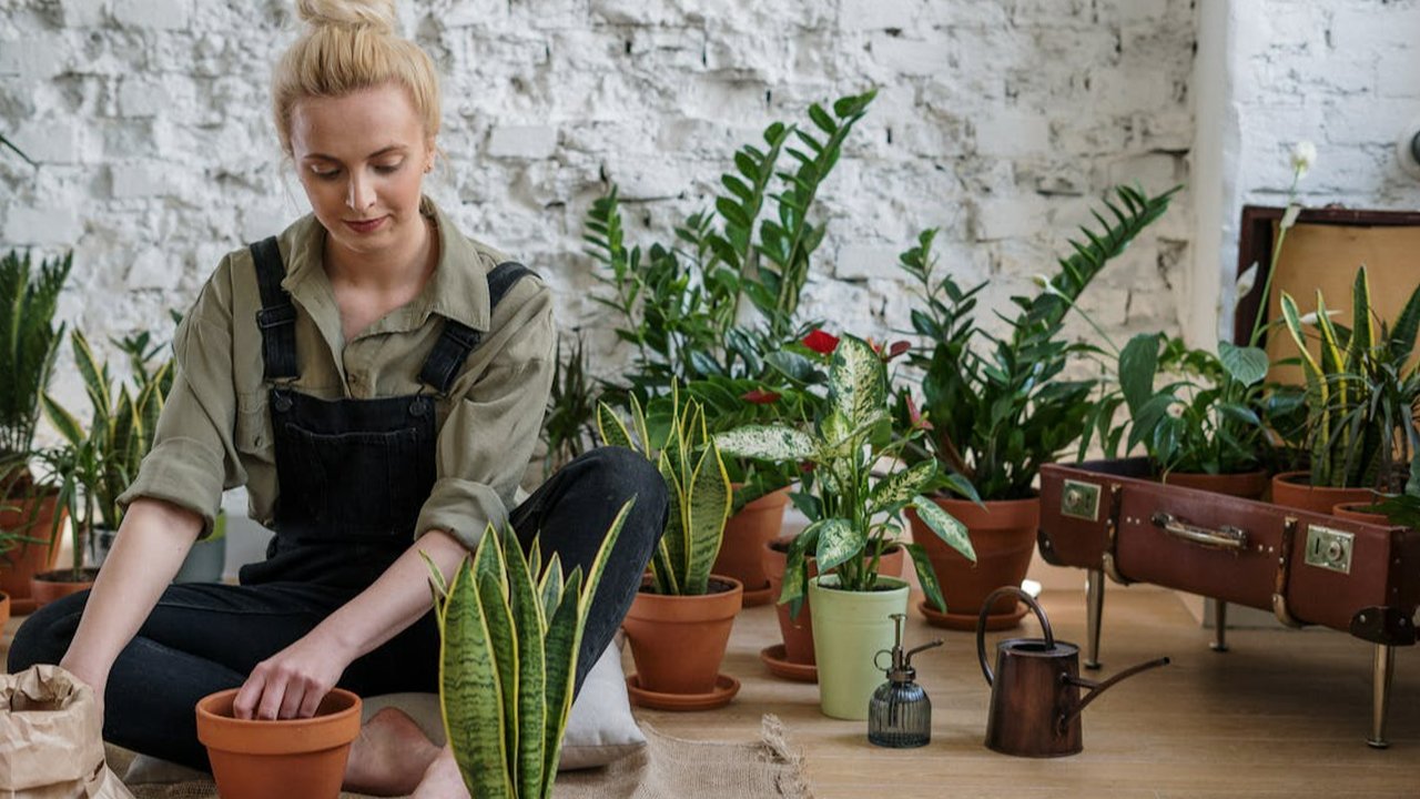 Berkebun, Obat Alami untuk Pikiran yang Lelah