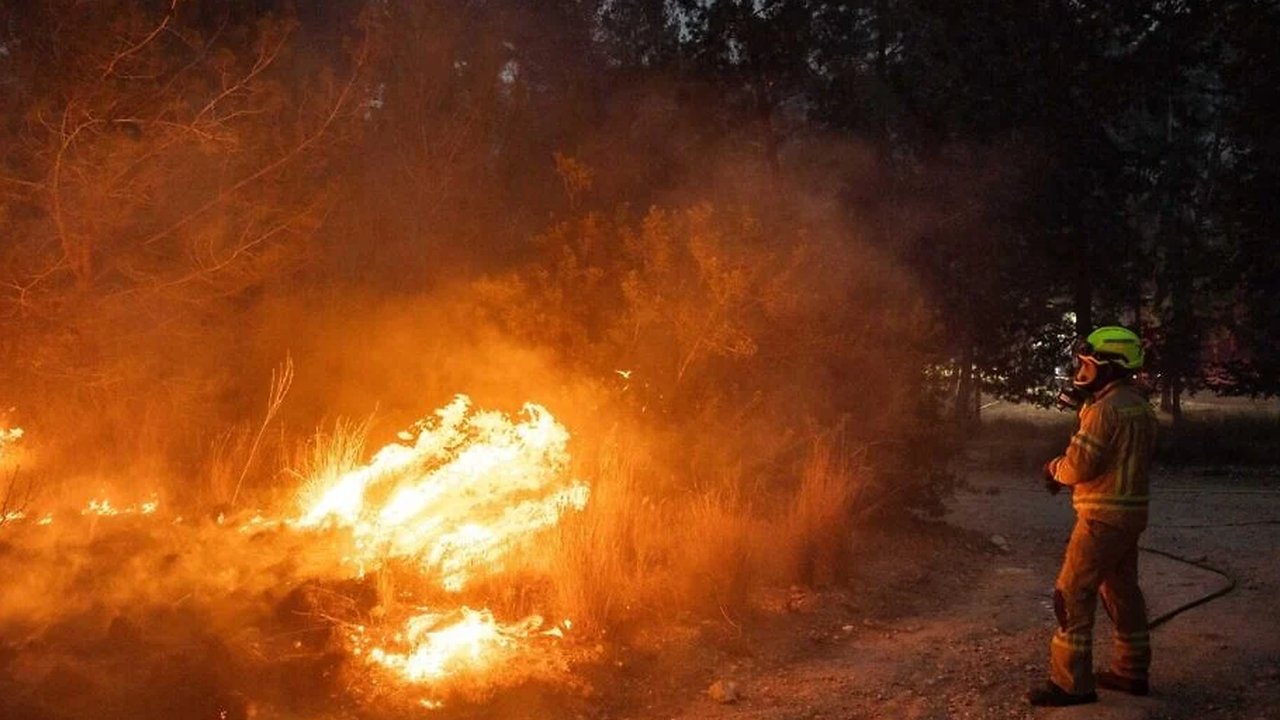 kebakaran hutan di israel