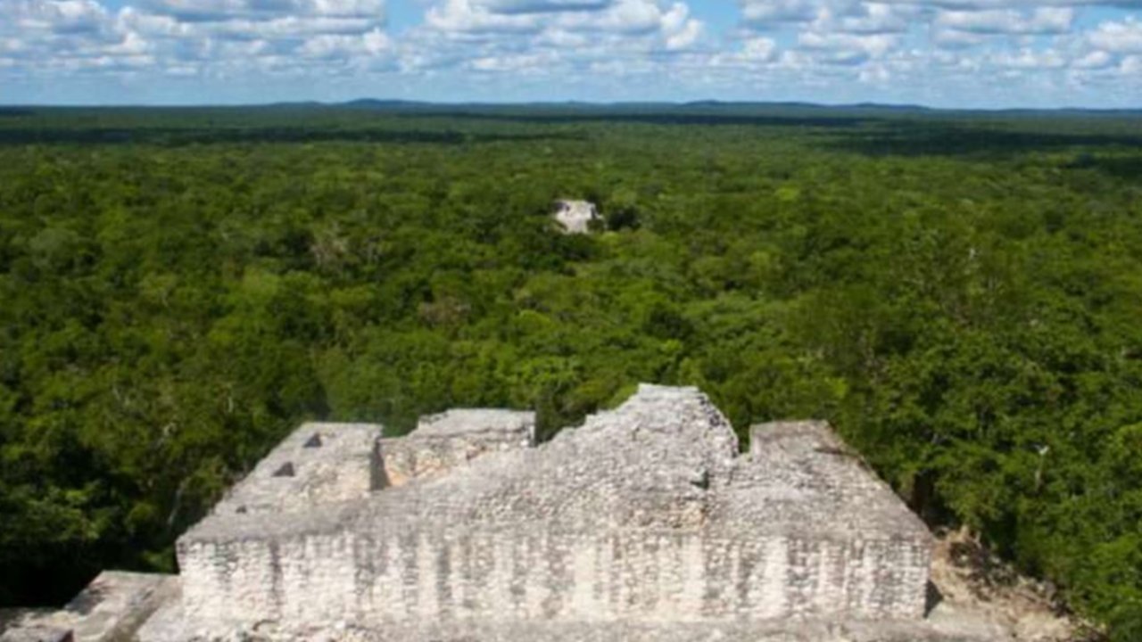 Arkeolog Temukan Kota Metropolis Kuno Tersembunyi di Tengah Hutan, Pernah Dihuni 50.000 Penduduk