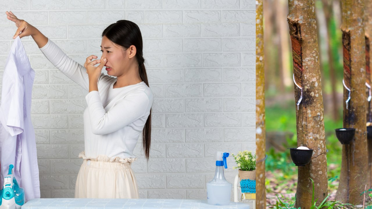 Noda Getah Tak Lagi Masalah, Ini Cara Bersihkannya dari Baju Putih