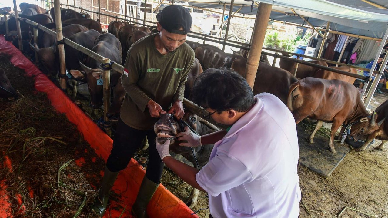 Pemprov Jakarta Imbau Jangan Buang Limbah Kurban ke Got
