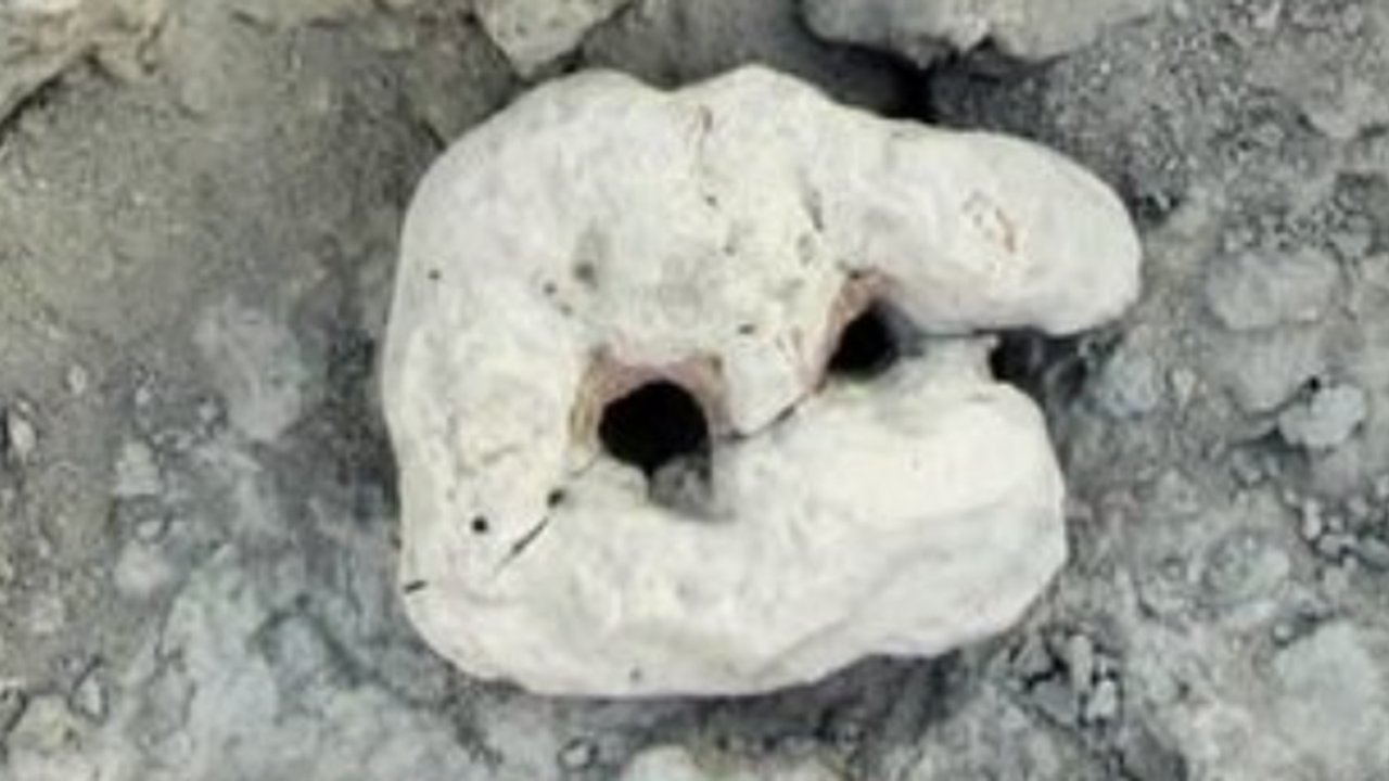 Arkeolog Temukan Bukti Manusia Purba Pernah Mancing Ikan di Pulau Ini, Ada Kail Sampai Tulang Hewan Laut