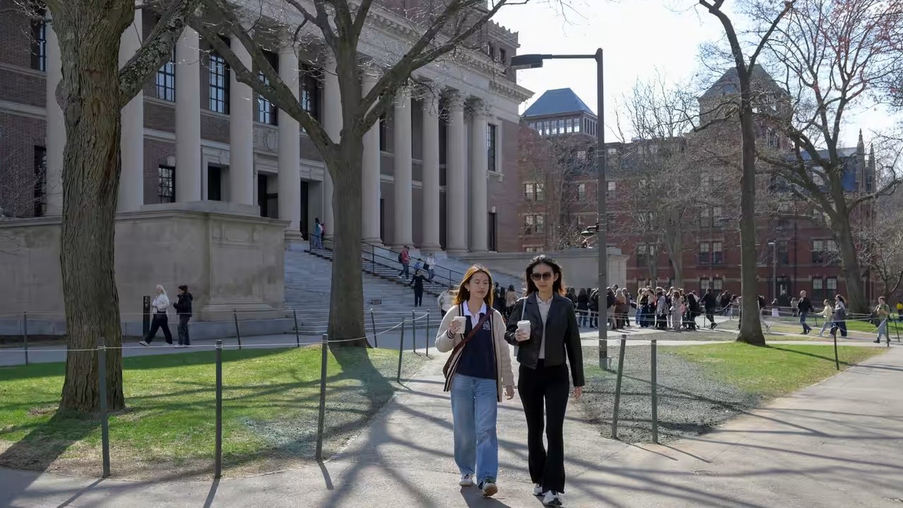 harvard