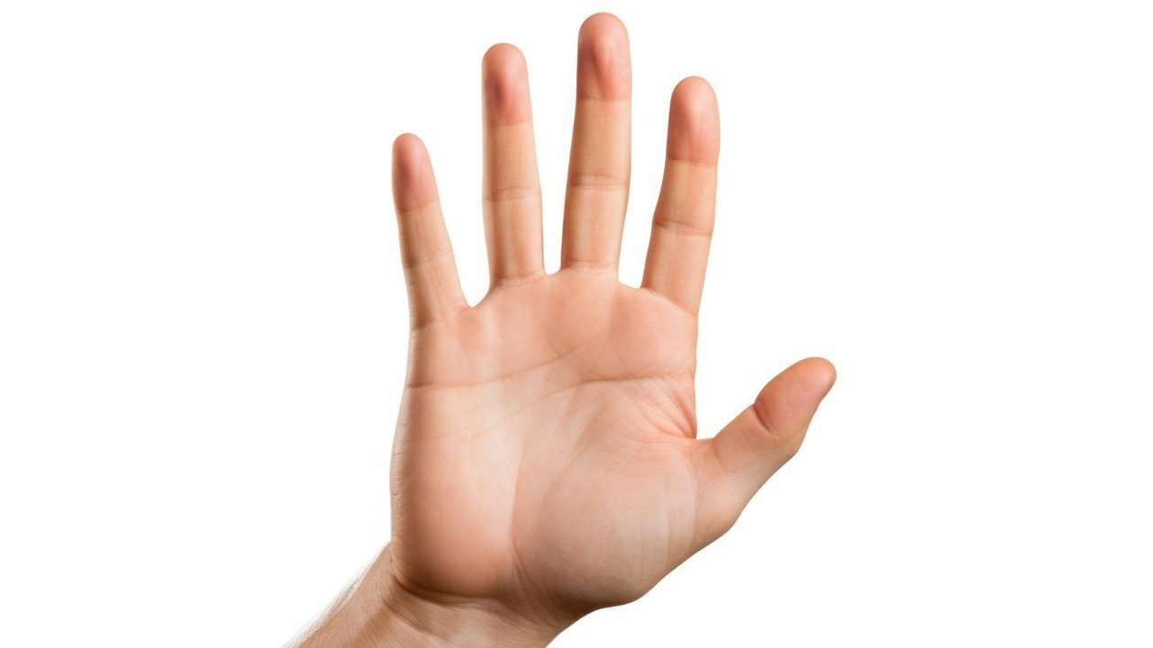 Mengenal Kondisi Kesehatan Melalui Telapak Tangan Anda