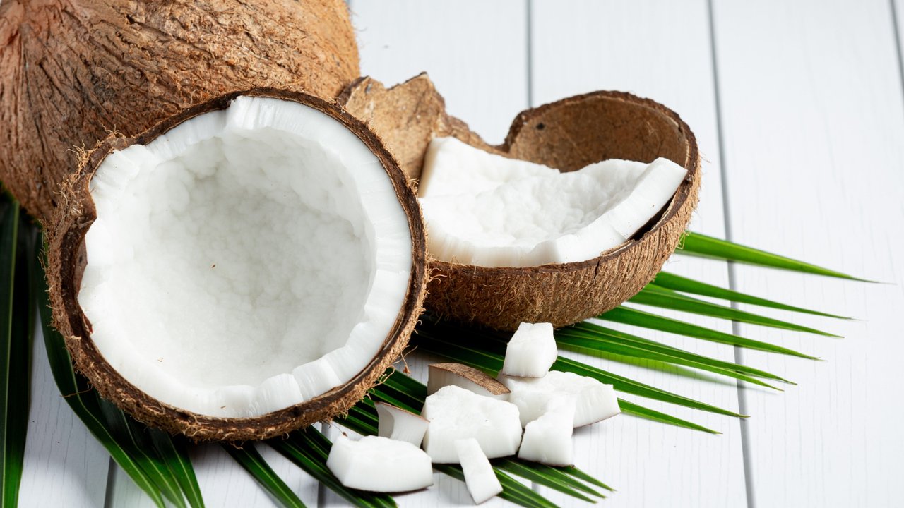 Ilustrasi Daging Kelapa