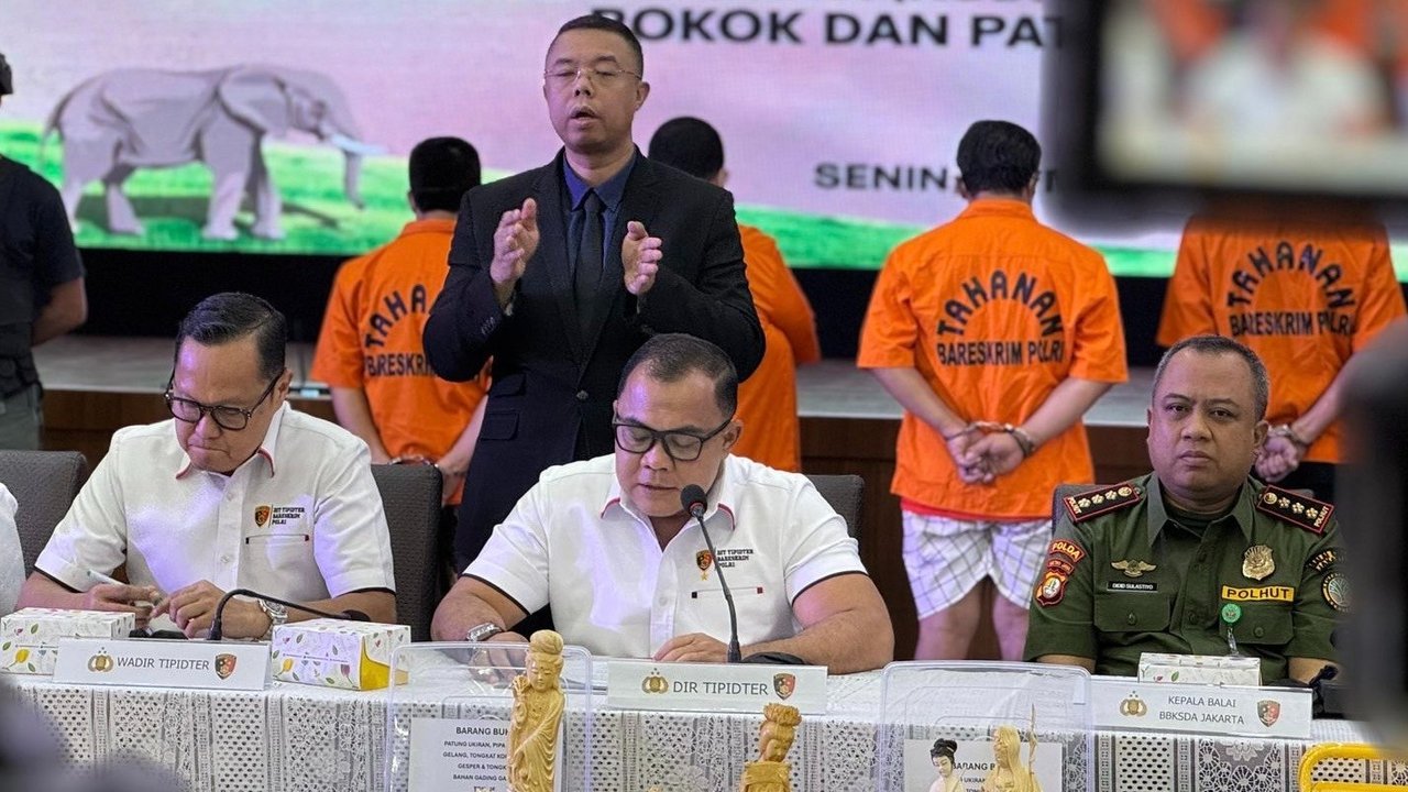 Polri Bongkar Sindikat Penjualan Gading Gajah, Nilai Aset Capai Rp2,3 Miliar