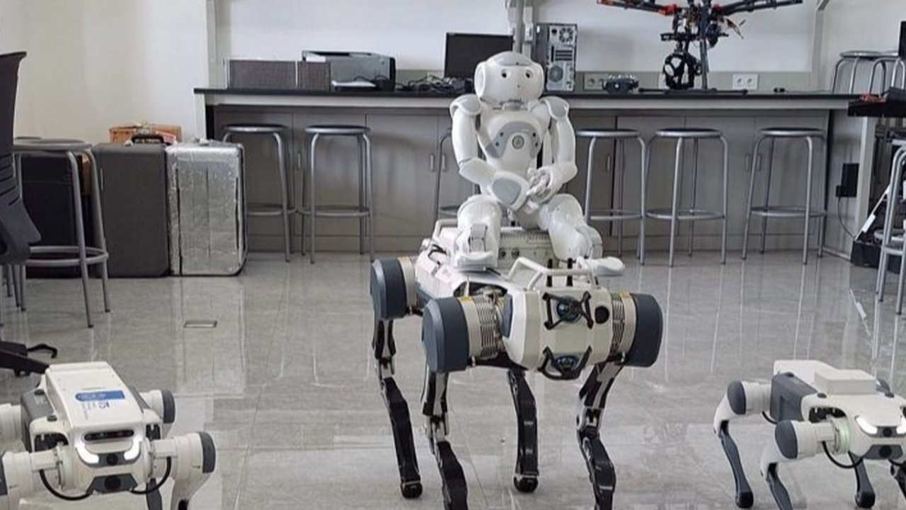 Anjing Robot di China Makin Canggih, Kini Dipakai di Pabrik hingga Medan Perang