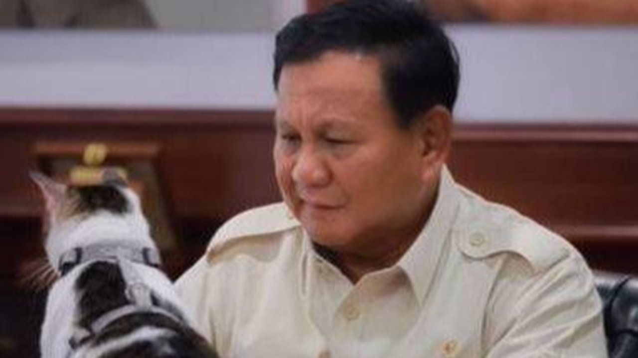 Bobby The Cat, Kucing Prabowo