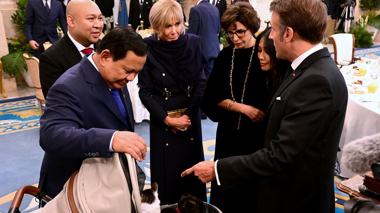 Saat Bobby Kertanegara Kucing Prabowo Bertemu Presiden Prancis Macron