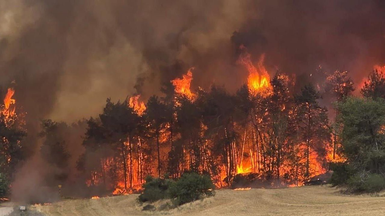 kebakaran hutan di israel