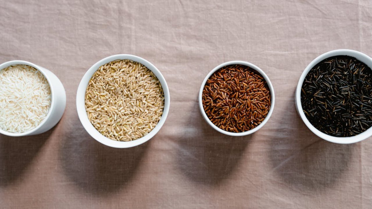 Ilustrasi Jenis-Jenis Nasi