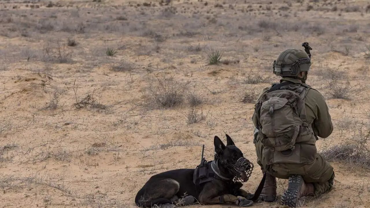 Tentara Israel dari unit K-9 ikut latihan di fasilitas pelatihan perang perkotaan tentara yang mensimulasikan Kota Gaza, di pusat pelatihan Tze’elim, juga dikenal sebagai “Baladia” (bahasa Arab untuk kota), di gurun Negev selatan pada Januari 2023.