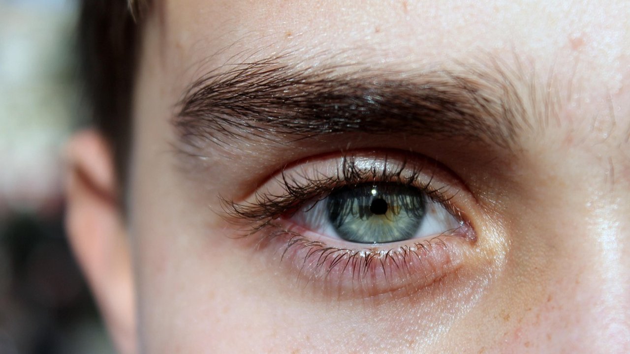 Ilustrasi Alis Tebal (©Pixabay)