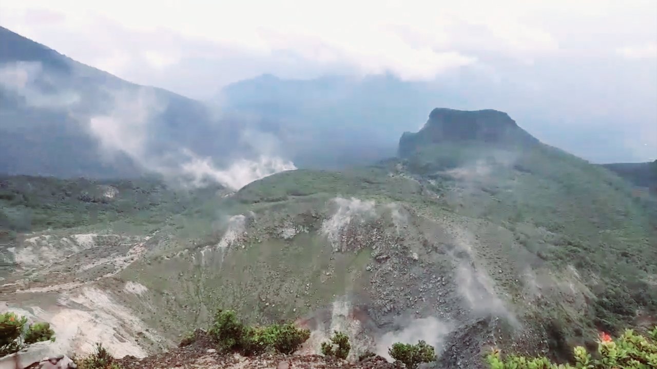 Catat! Pendaki Buang Celana Dalam hingga Cabut Bunga Abadi di-Black List Naik Gunung Gede-Pangrango