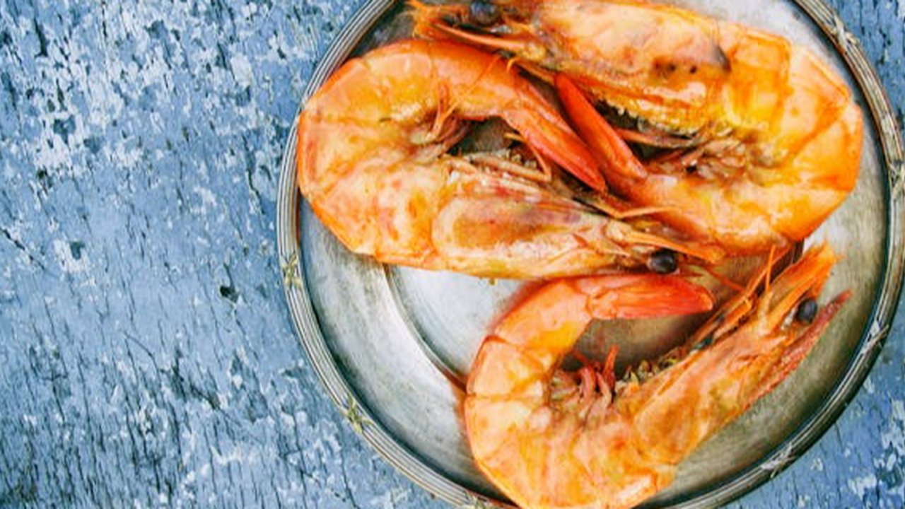 6 Hewan Tanpa Otak yang Tetap Bisa Bergerak dan Berfungsi Normal