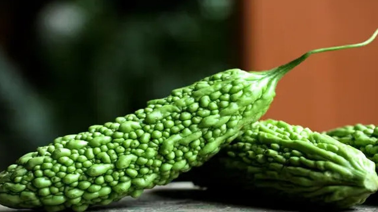 Ilustrasi pare. (Image by jcomp on Freepik)