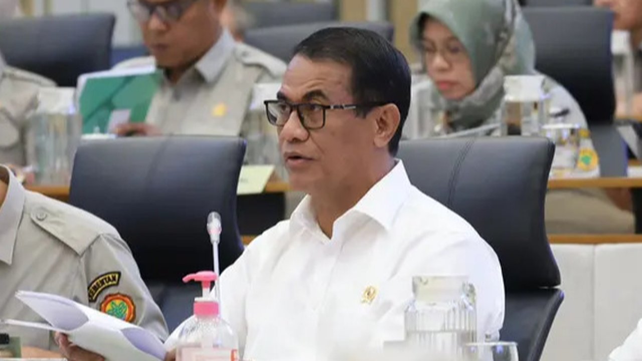 Menteri Pertanian (Mentan) Andi Amran Sulaiman/Istimewa.