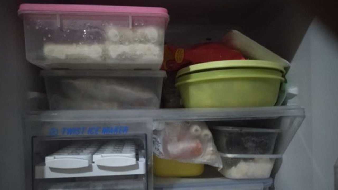 ilustrasi wadah plastik di freezer