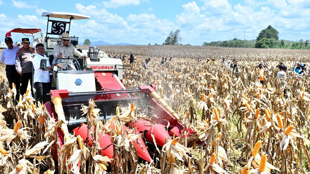 Jenderal Bintang 4 & Menteri Berdiri 'Kawal' Prabowo Naik Traktor di Sawah, Selesai Teddy Merapat