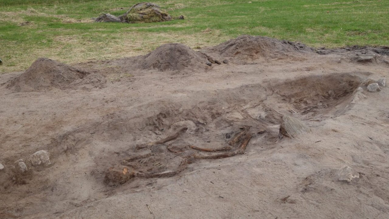 Arkeolog Temukan Makam Wanita Viking Berusia 1.100 Tahun, Dikubur Bersama Anjingnya di Pulau Terpencil