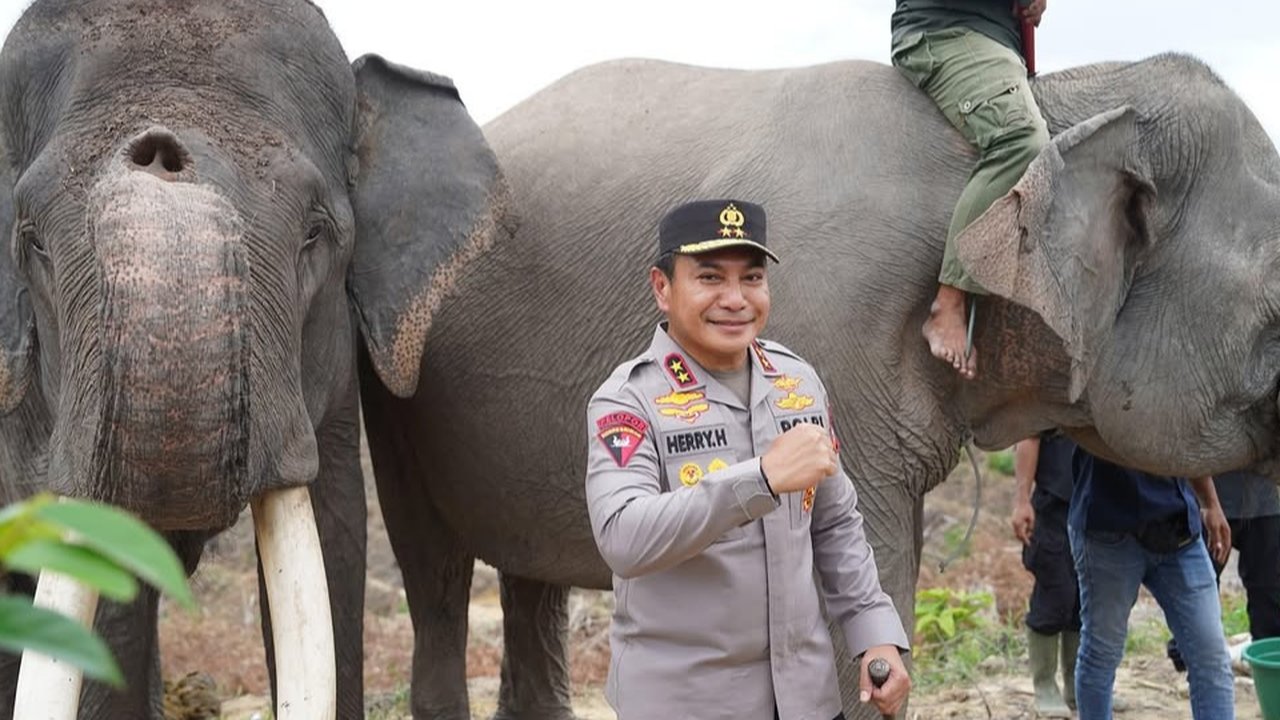 Ramai-Ramai Jenderal TNI dan Polisi 'Jalan-Jalan' ke Hutan, Ada Momen Irjen Herry Heryawan Pose Bareng Gajah