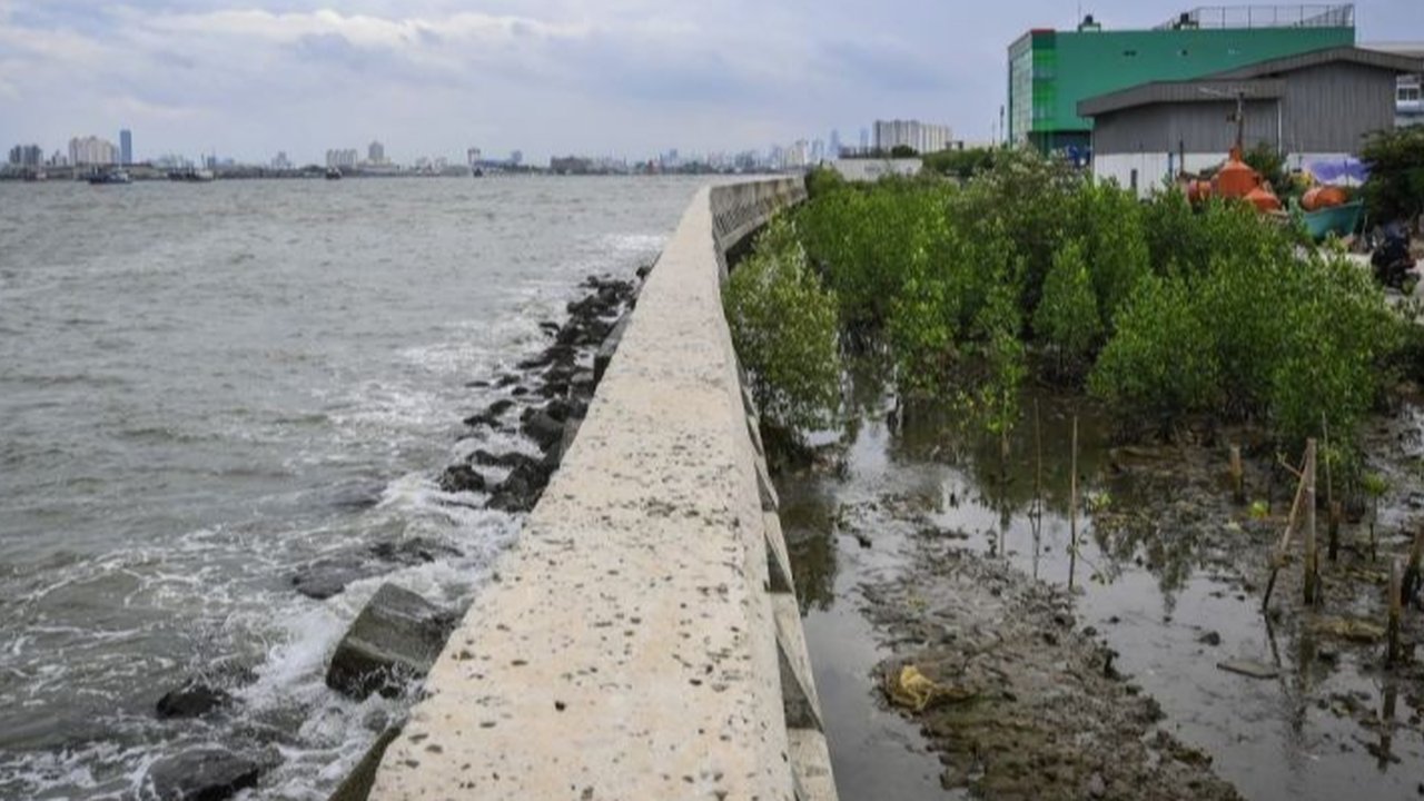 Perjalanan Panjang Proyek Giant Sea Wall di Teluk Jakarta, Kini Digas Prabowo Setelah Berkali-kali Tertunda