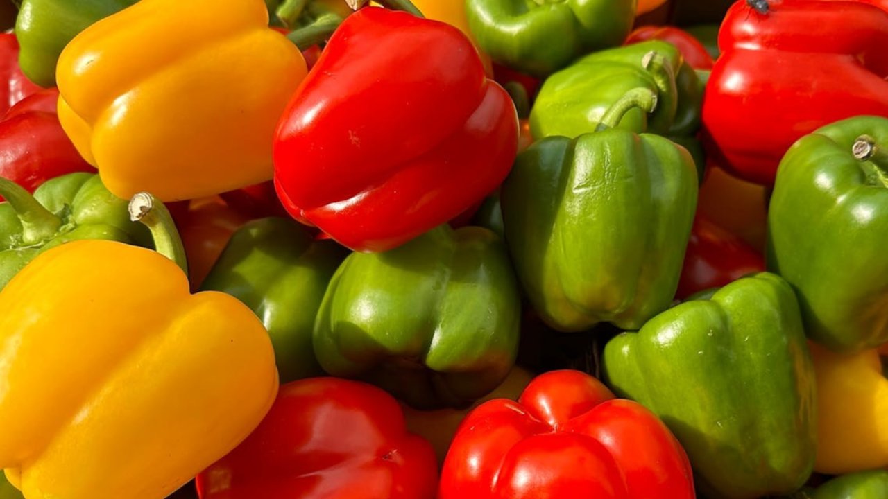 Paprika
