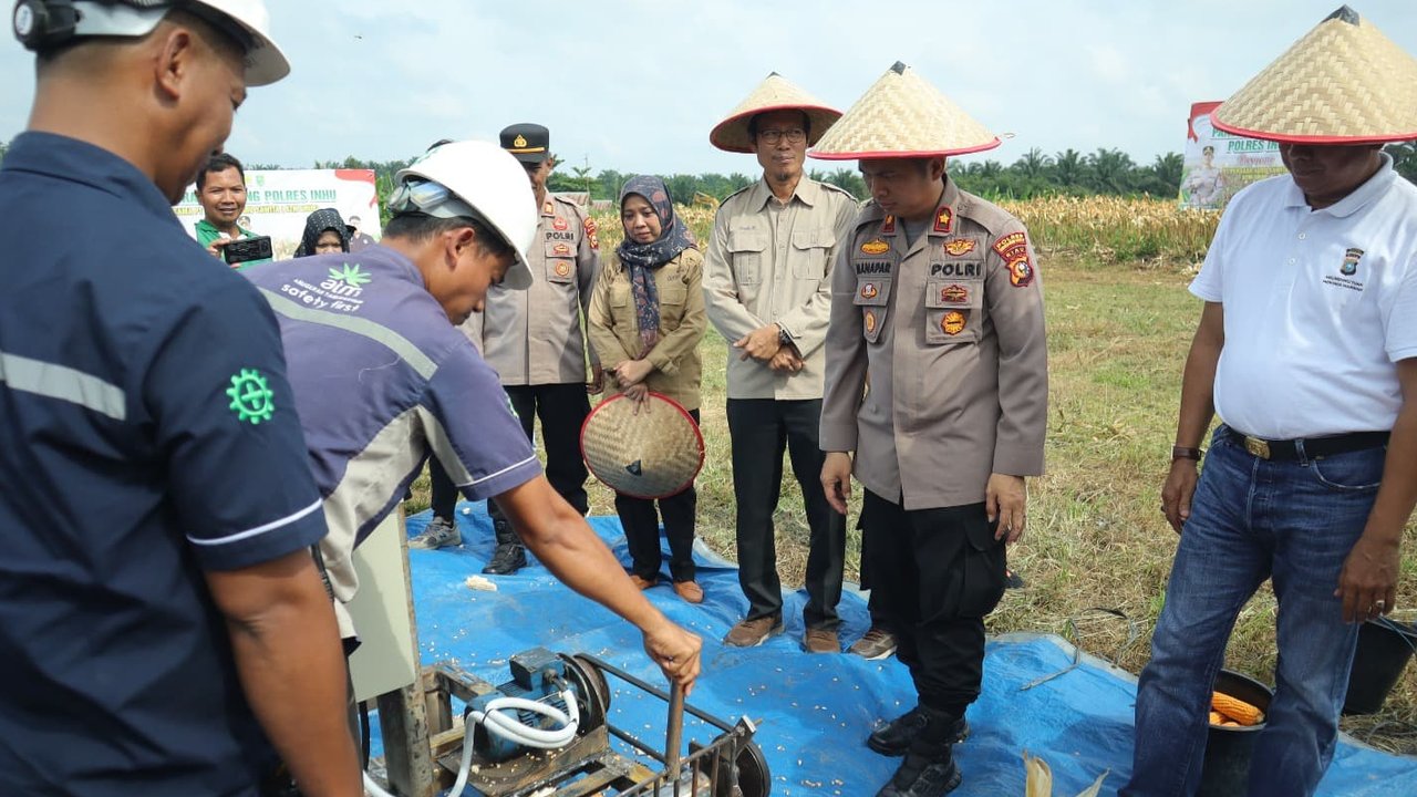 Mengulik Hasil Pertanian Polres Inhu di Lahan PAS, Dukung Swasembada Pangan