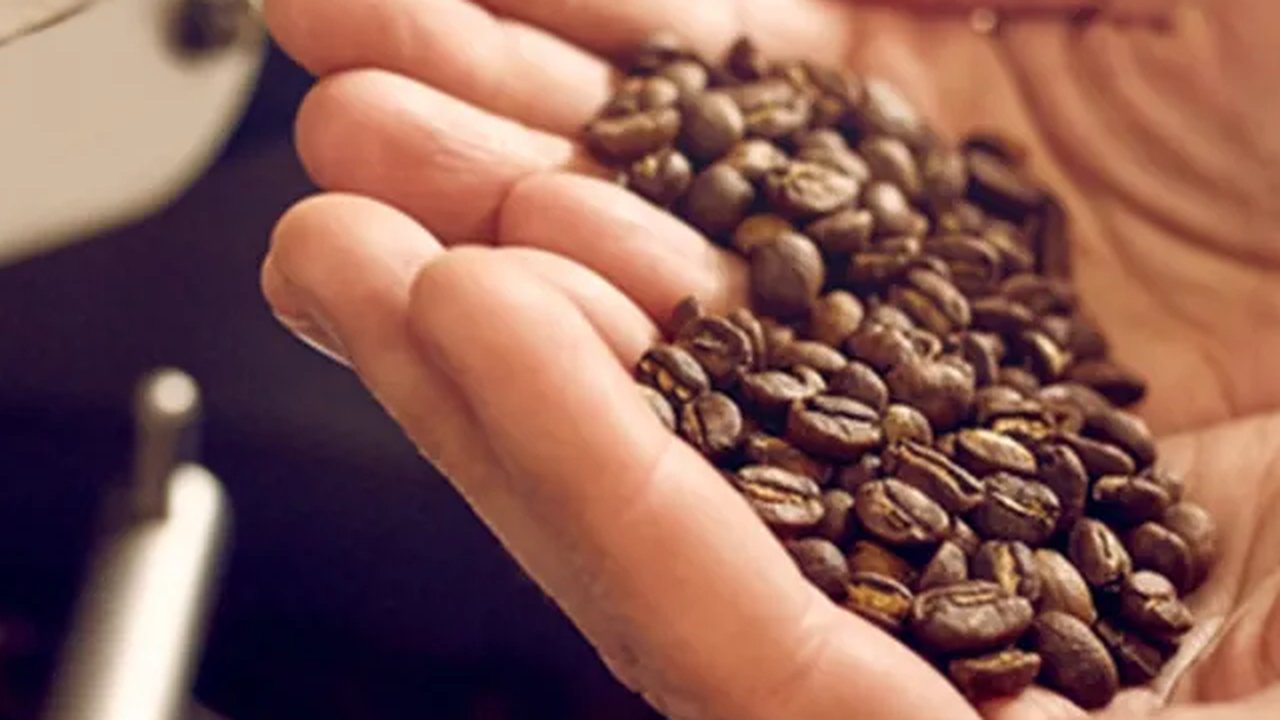 3 Perbedaan Rasa Pada Kopi Berdasarkan Jenis Roasting, Dari yang Pahit hingga Keasaman