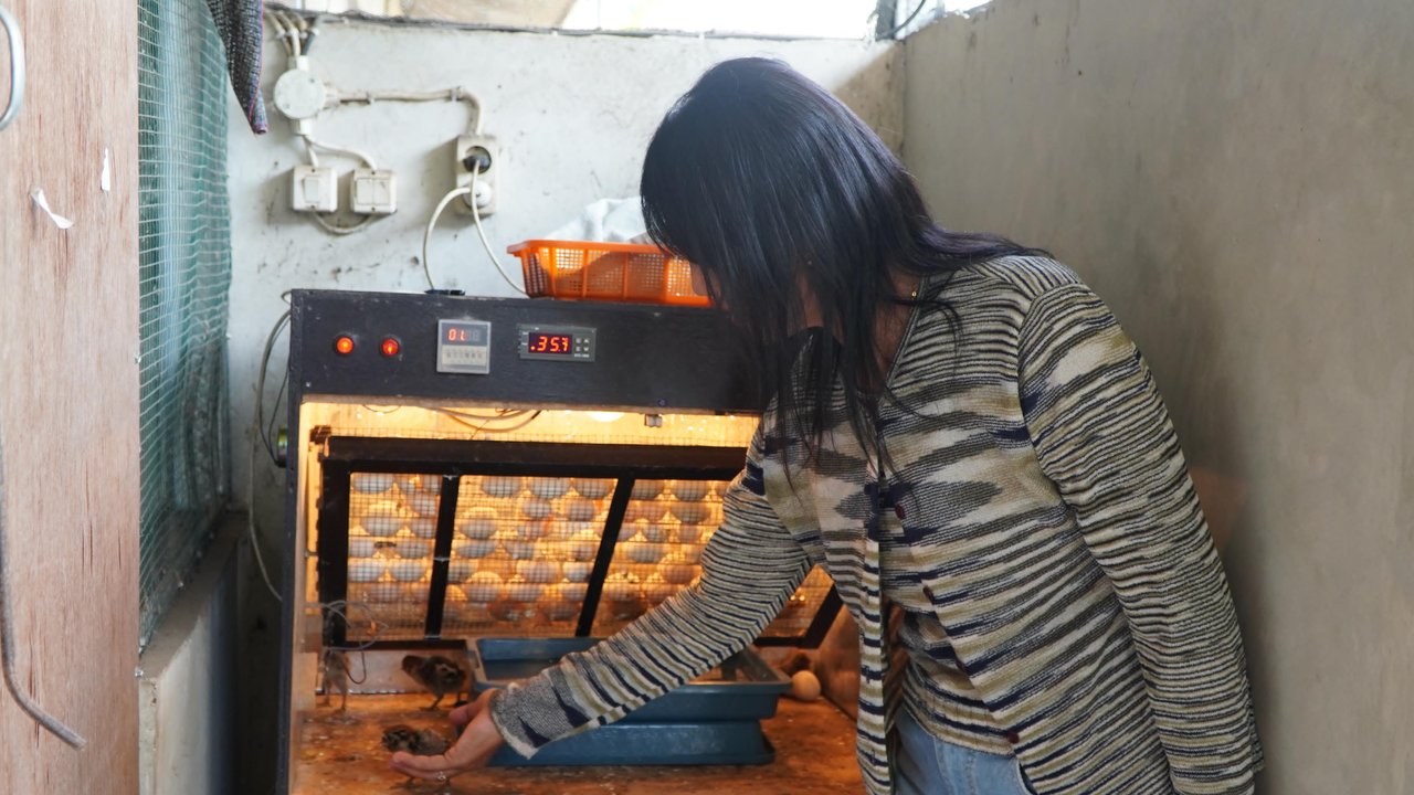 Siapa Minat? Pertamina Buka Kompetisi PFsains untuk Pengembangan Produk Riset dan Hadiah Miliaran Rupiah