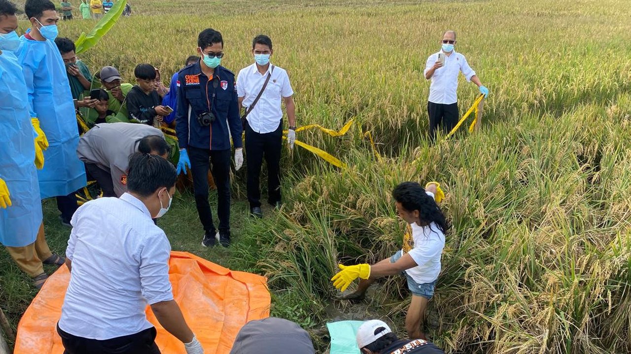 Aksi Sadis Pemuda di Tuban, Bunuh Kekasih hingga Tersungkur ke Sawah karena Tak Terima Ditinggal Menikah